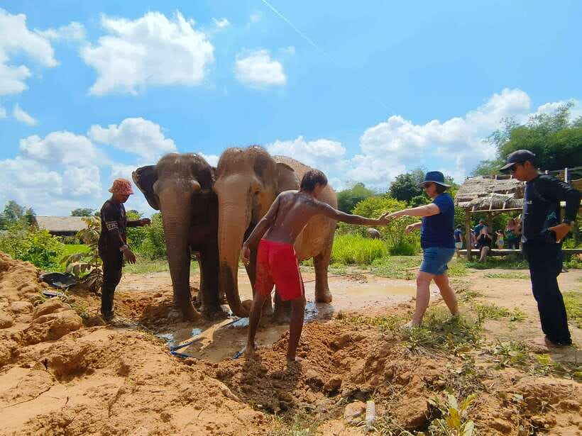 Elephant Sanctuary Cambodia, Pickup and drop off included - What is included, and what you should budget for