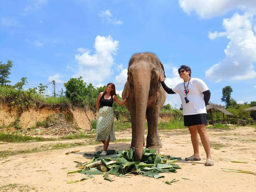 Elephant Sanctuary Cambodia, Pickup and drop off included - Who this sanctuary visit suits best