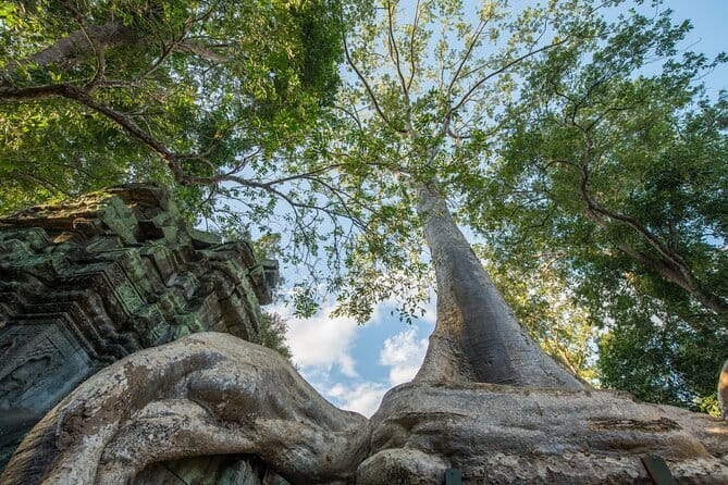 Exclusive Angkor temples and Small group temples tours - Inside Angkor Thom: Bayon’s neighborhood feeling