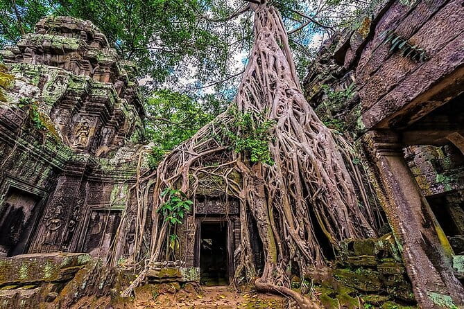 Explore Angkor Sunrise Spectacle a Full Day Temples Tour - Price and the real cost: $45 plus the Angkor Pass math