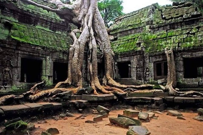 Explore Angkor Wat Sunrise Small Tour Private VIP Car - Early morning game plan, pickup at your lobby and the temple pass step