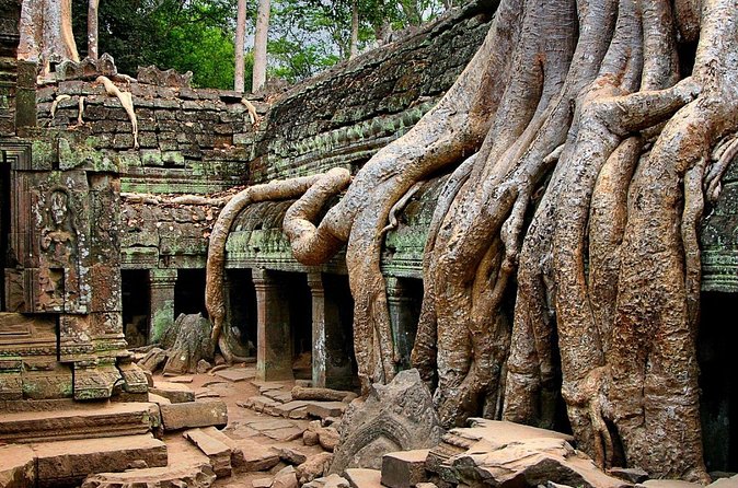Explore Angkor Wat Temple , Bayon Temple and Jungle Temple Ta-Prohm - Who this private Angkor day tour suits best