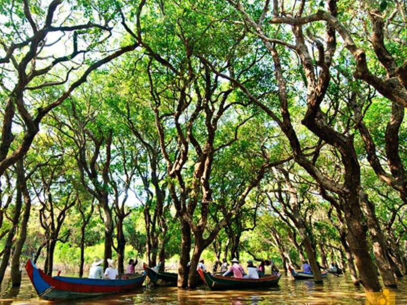 Floating Village-Mangroves Forest Tonle Sap Lake Boat Tour - Who should book this Tonle Sap floating village and mangrove tour