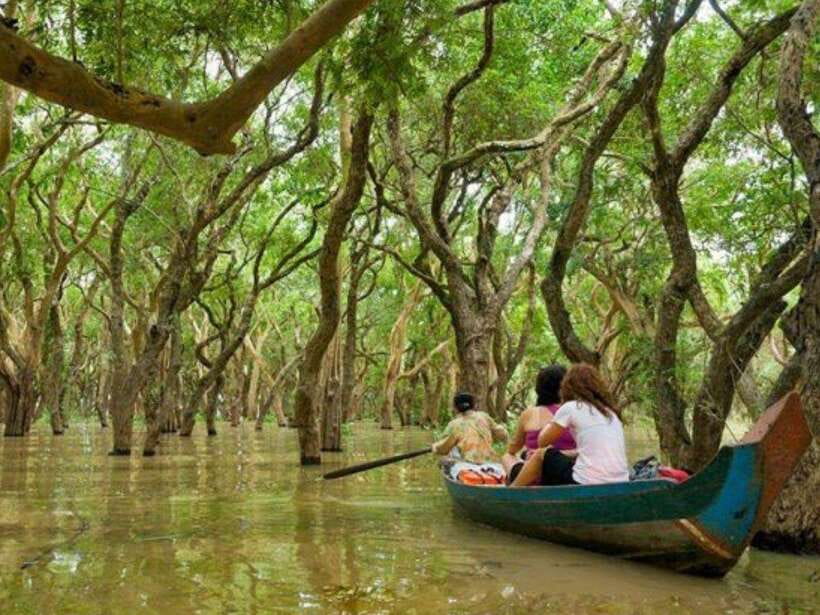 Floating Village-Mangroves Forest Tonle Sap Lake Boat Tour - A water-first day that starts with real Cambodians