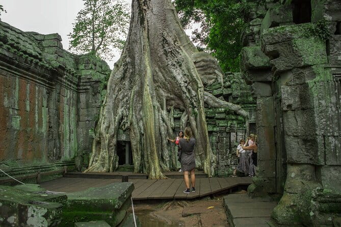 (Free eSim) Classic Angkor Wat Sunrise Full Day Tour - Price and value: $14.40 plus the Angkor Wat ticket