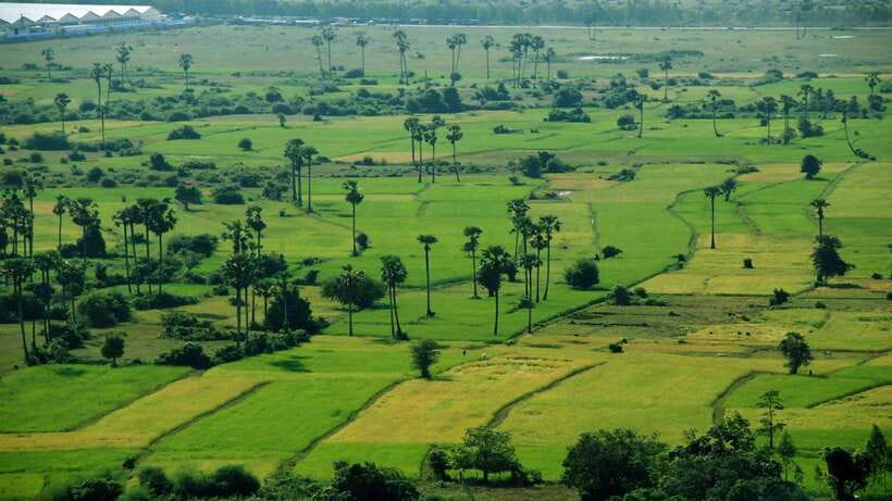 From Siem Reap: Battambang Day Trip Bamboo Train, Bats Cave - Price and value: what $159 buys you in a long day