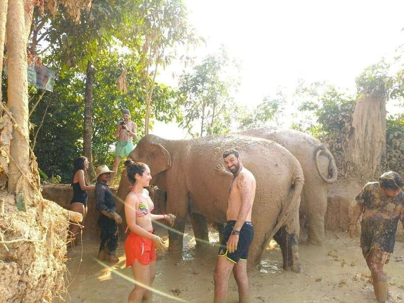 From Siem Reap: Elephant Sanctuary Experience with Transfers - Key highlights at a glance