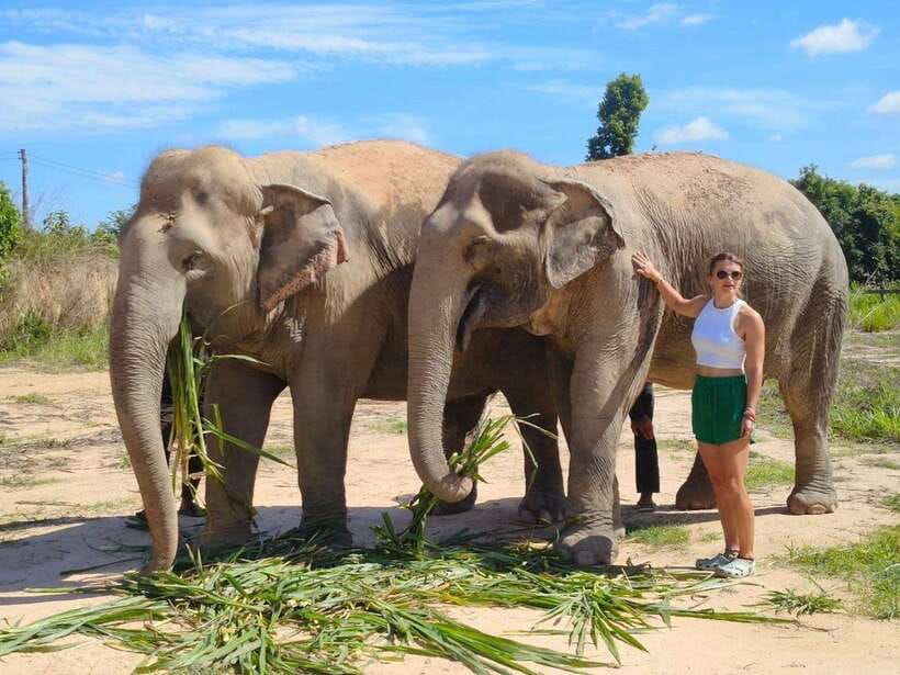 From Siem Reap: Elephant Sanctuary Experience with Transfers - Why this Siem Reap elephant sanctuary transfer feels different