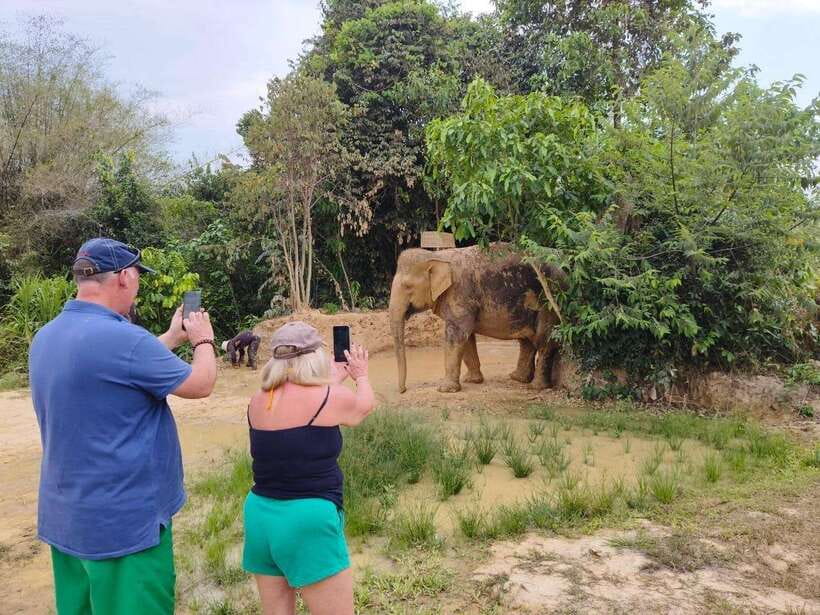 From Siem Reap: Elephant Sanctuary Experience with Transfers - Making snacks and learning why elephant digestion matters