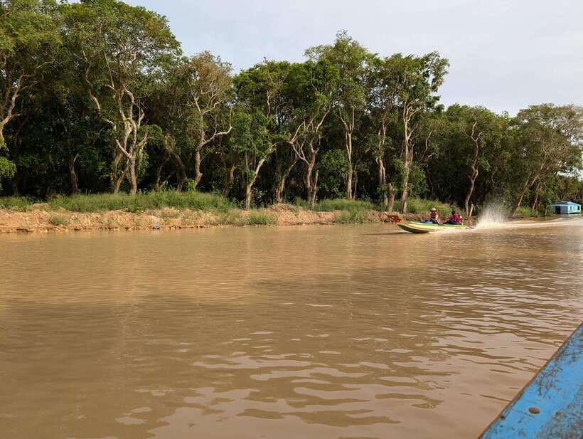 From Siem Reap: Floating Village Tour by Boat - Flooded Forest Rowing in Rainy Season: What You Need to Know