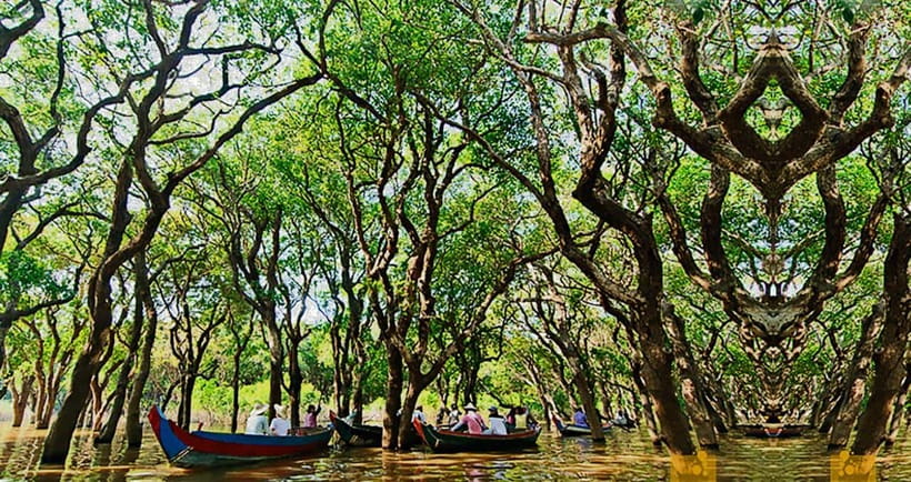 From Siem Reap: Floating Village Tour by Boat - What to Pack and How to Handle the Heat and Bugs