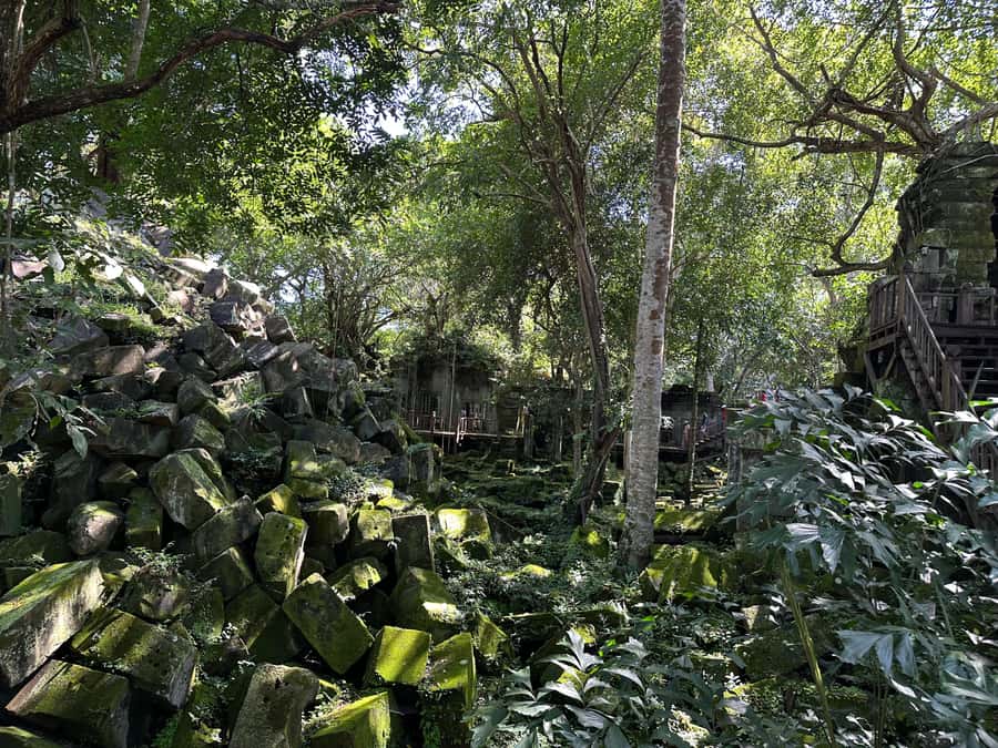 From Siem Reap: Half-Day Tour to Beng Mealea Temple - Who This Tour Suits Best (And Who Might Want Another Plan)