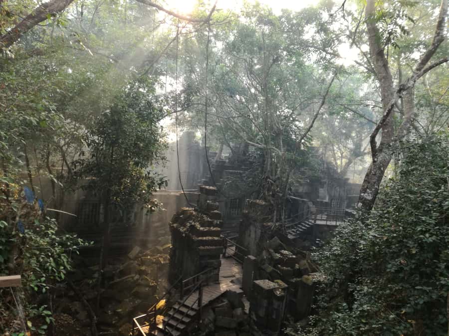 From Siem Reap: Half-Day Tour to Beng Mealea Temple - The Ride From Siem Reap: 60 Kilometers, Private and Easy