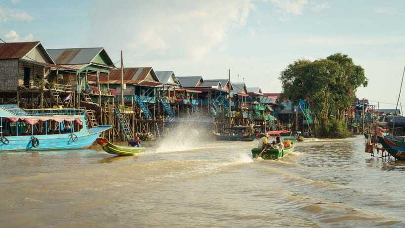 From Siem Reap: Kampong Phluk Floating Village Tour by Boat - Mangrove forest option: what the small-boat ride adds