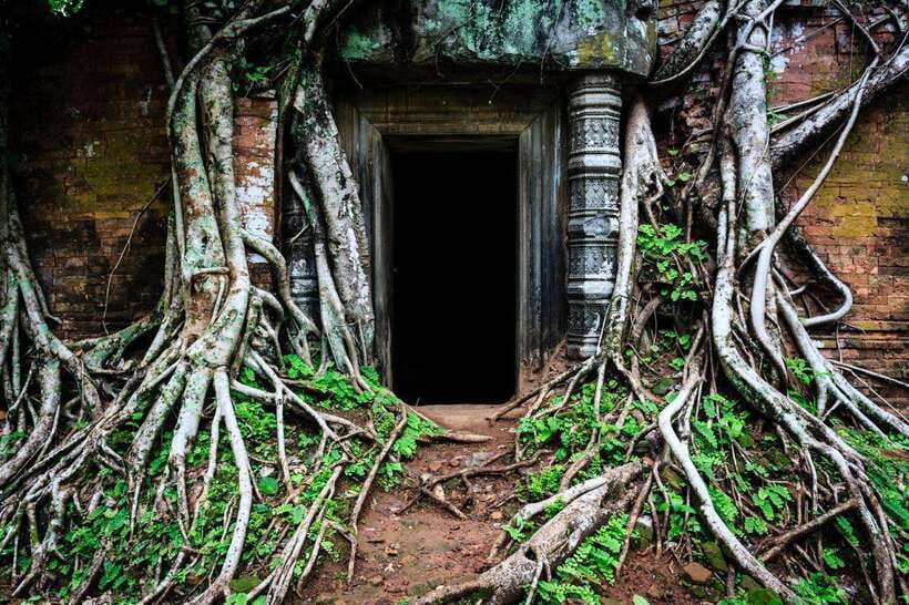 From Siem Reap: Koh Ker and Beng Mealea Temples Tour - Lunch stop: what you can control and how to use the break