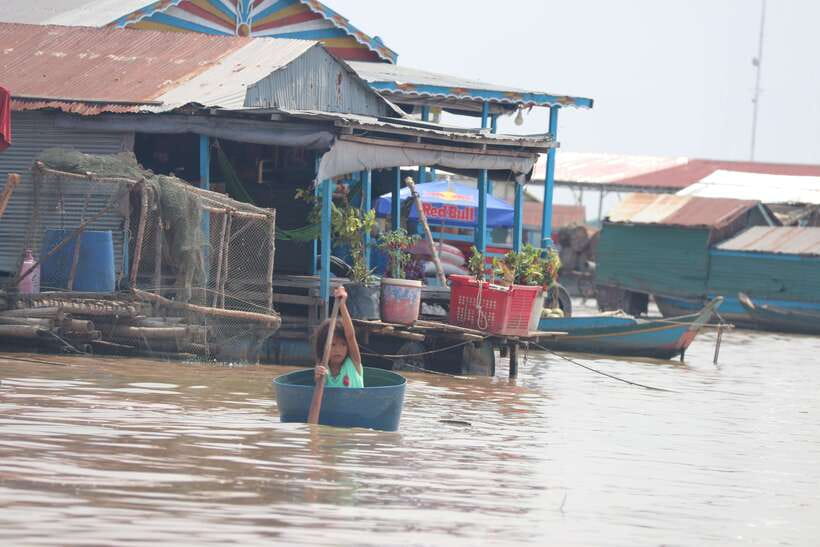 From Siem Reap: Tonle Sap Floating Villages Tour - Spotting Birdlife Near the Bird Sanctuary