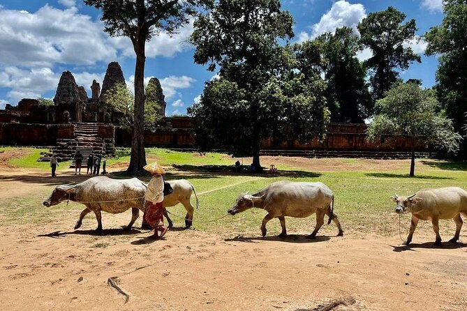 Full-Day 'Big Tour' with Sunset at Phnom Bakheng - Ta Som: the overgrown temple stop that feels most different