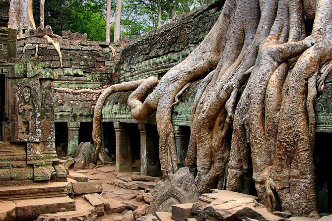 Full-Day Guided Sunset Tour of Angkor Wat - Hotel pickup and the 8-hour flow you should expect
