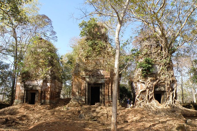 Full-Day Preah Vihear, Koh Ker and Beng Mealea Private Tour - Beng Mealea at dusk: jungle ruins and wooden walkways