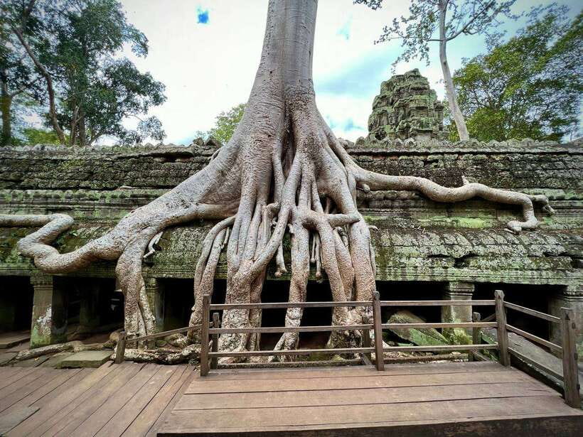 Full Day Private of Angkor Wat Tour with Tuk Tuk - Price and value: $15 for the ride, plus what you still need to pay