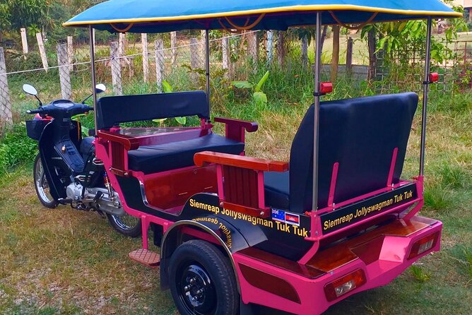 Full-Day Private Tuk Tuk Tour of Angkor Wat Temples - Ta Prohm: the hour that gives you the movie-famous look