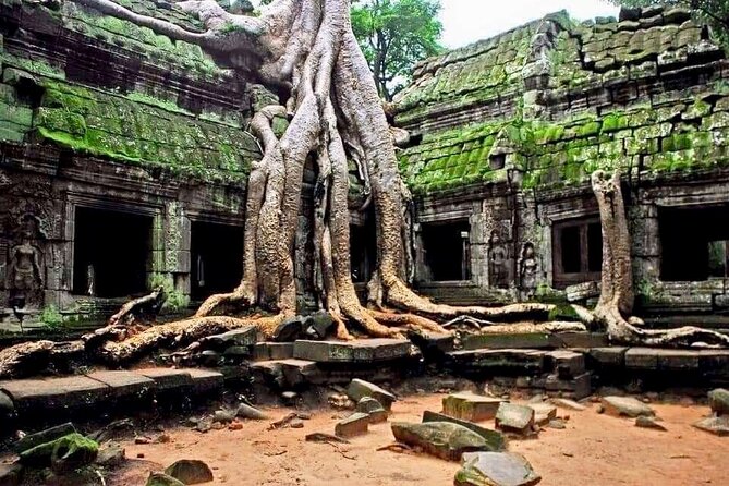 Full-day Private VIP Tour to Angkor Complex - Stop 11: Angkor Wat, Where You Can Time the Light
