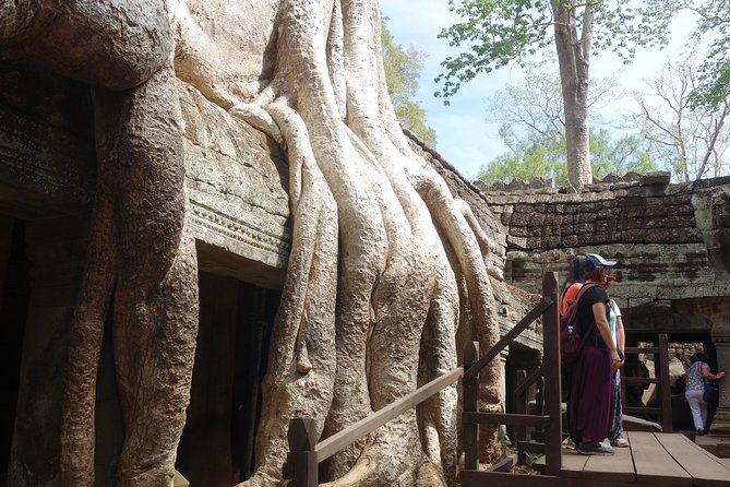 Full-Day Siem Reap Angkor Major Temples Private Tour - Ta Prohm: Tree Roots, Walking Slow, and the Tomb Raider Factor