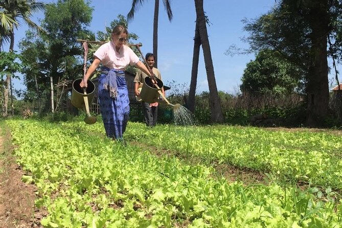 Full Day Siem Reap Farm Tour with Cooking Class and Monk Blessing - Key highlights at a glance