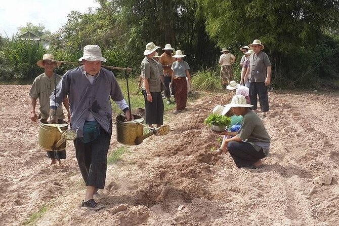 Full Day Siem Reap Farm Tour with Cooking Class and Monk Blessing - Where Krabei Riel fits into a Siem Reap day