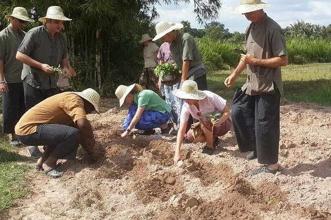 Full Day Siem Reap Farm Tour with Cooking Class and Monk Blessing - Who should book this farm tour