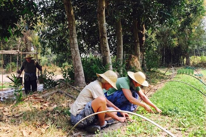 Full Day Siem Reap Farm Tour with Cooking Class and Monk Blessing - Getting involved on the farm, not just watching
