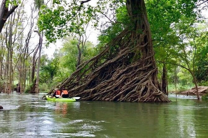 Full Day Tour from Siem Reap - Bamboo Train, Killing Cave & Sunset - Price and value: where the $130 really goes