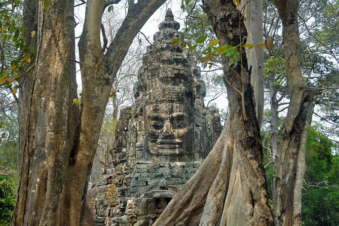 Guided Private Tuk Tuk Tour Angkor Wat and Small Circle and Five Extras - Srah Srang lunch-break: animal terraces and a real reset