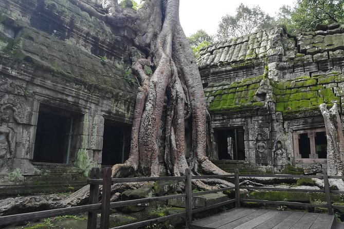 Half Day Angkor Wat Sunrise Private Tour - Why the 4:30 am start at Angkor Wat changes the whole day