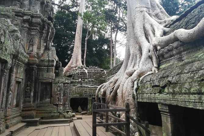 Half Day Angkor Wat Sunrise Private Tour - Angkor Wat sunrise: what you get besides the famous view