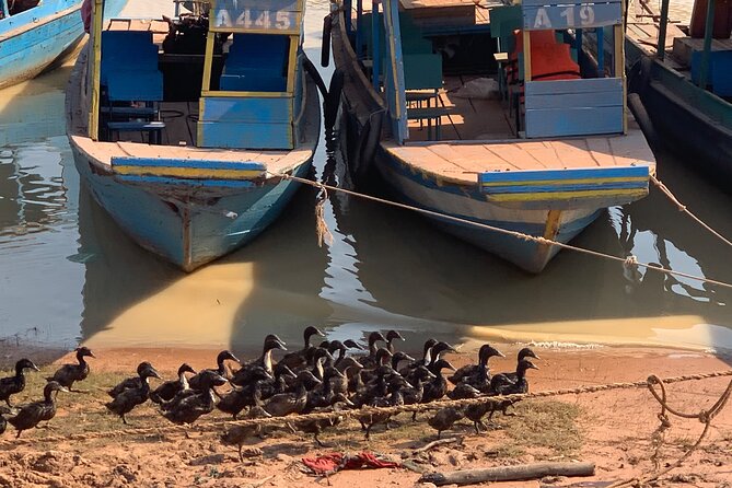 Half Day Floating Village ( Mechrey) & Tole Sap Tour - Deep-Fried Insects and Khmer Crickets: Your Tasting Choice