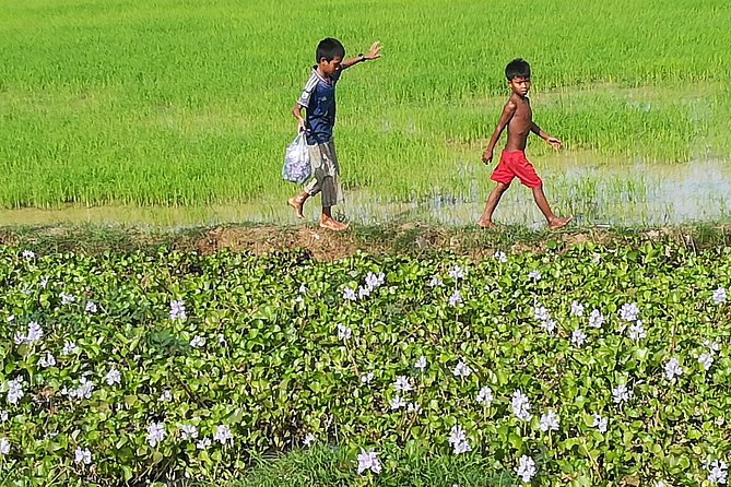 Half Day Floating Village ( Mechrey) & Tole Sap Tour - Timing and Logistics: Pickup, AC Comfort, and a Smooth Flow