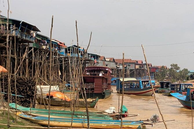 Half Day Kampong Phluk Floating Village and Flooded Forest Tour - Kompong Phluk Mangroves: What to Look for on the Boat