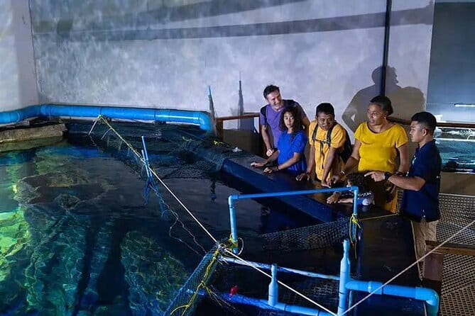 Half Day River Monster Tour with Private Guide in Siem Reap - Feeding fishes and animals adds a personal touch