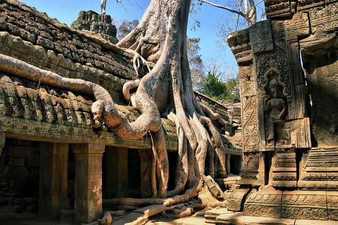 Half Day River Monster Tour with Private Guide in Siem Reap - The behind-the-scenes care you get is the real education