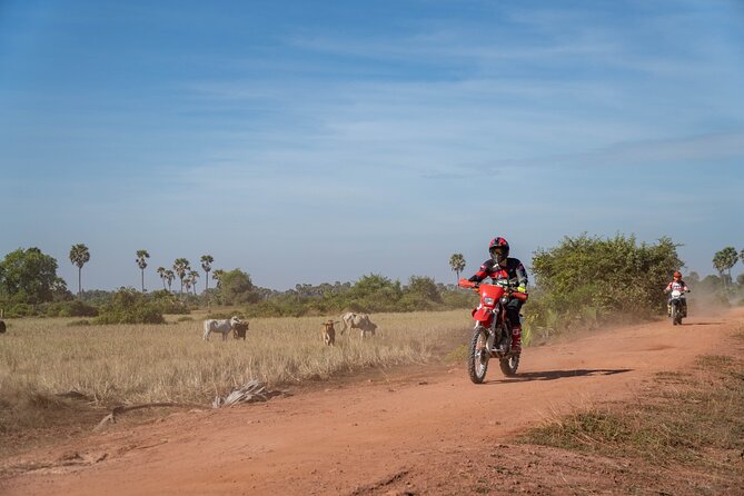 Half Day Siem Reap Off-Road Ride Tour - What Small Group Size (Max 12) Really Means on Dirt Roads