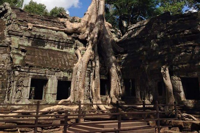 Half-Day Ta Prohm and Banteay Kdei Tour - Price and what you actually get for $34 in Siem Reap