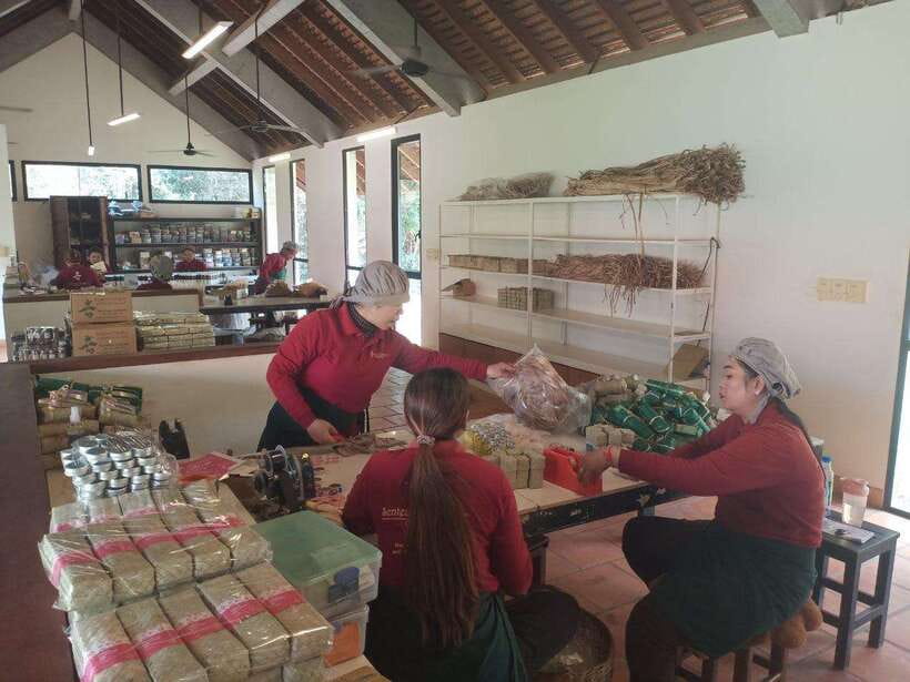 Half Day Trip: Silk Farm, Satcha, and Senteur d'Angkor Tour - Price and value for a group up to 2