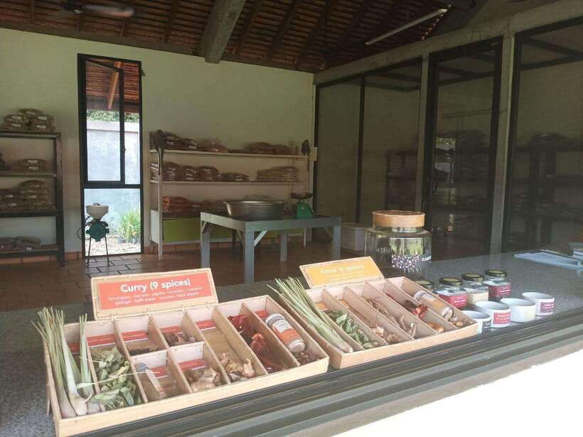 Half Day Trip: Silk Farm, Satcha, and Senteur d'Angkor Tour - Who this suits best, and who should skip it