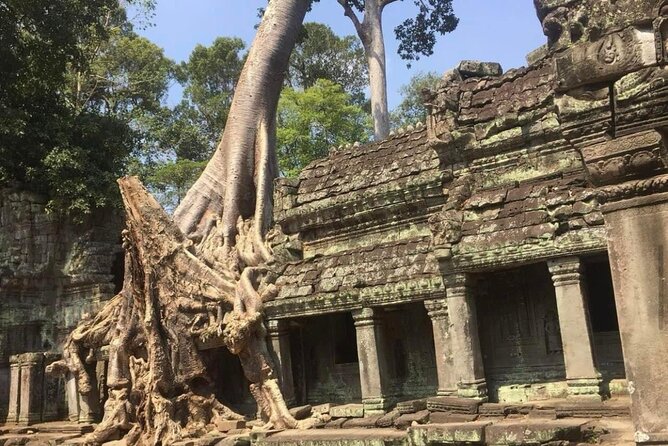 Journey Through Time: Grand Tours with professional photographers - Siem Reap hotel transfer and the day’s easy start