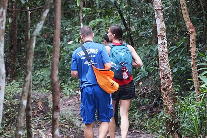 Jungle Trekking Tour at Phnom Kulen National Park from Siem Reap - Why Phnom Kulen feels different from a temple day in Siem Reap