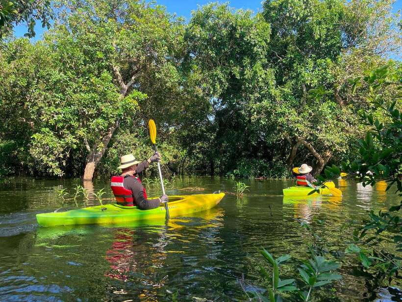 Kayaking & Floating Village in Siem Reap - Why This Tonle Sap Kayak Route Feels Different Than Angkor Tours