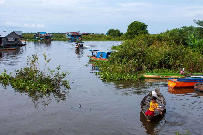 Kayaking & Floating Village in Siem Reap - Mangrove Forest or Open Lake Water Birds: Season Check