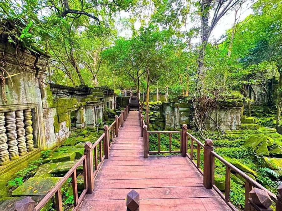 Koh Ker & Beng Mealea Temple Guided Tour - Koh Ker and Beng Mealea: A Different Side of the Khmer Empire