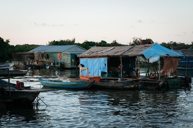 Kompong Khleang Floating Village & Tonle Sap Lake - Private Day Tour - Market Snacks, Bakery Treats, and What to Try